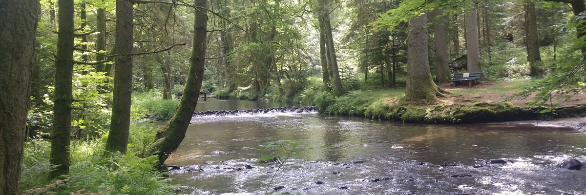 Header Neukirchen 023